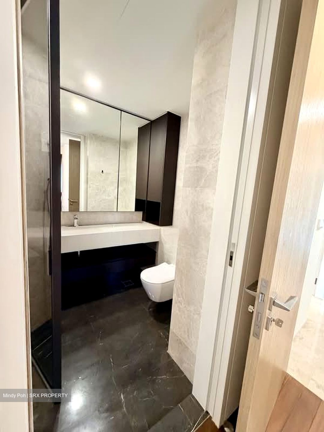 Amber Park (D15), Condominium #561207921